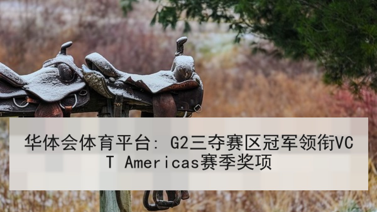 华体会体育平台: G2三夺赛区冠军领衔VCT Americas赛季奖项