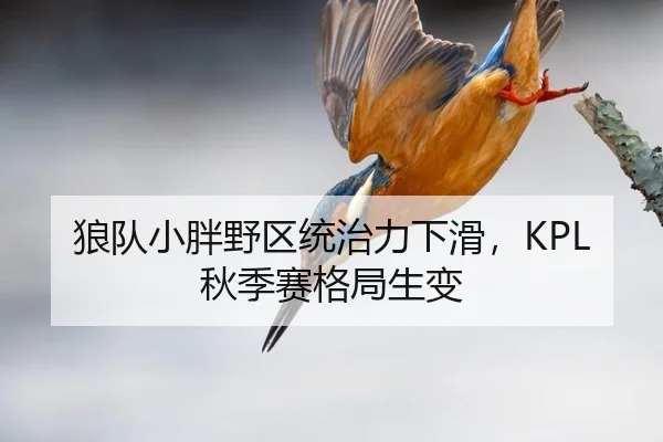 狼队小胖野区统治力下滑，KPL秋季赛格局生变
