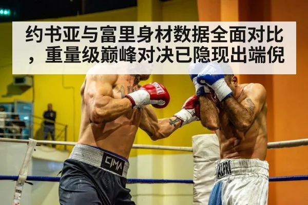 heavyweight boxing match