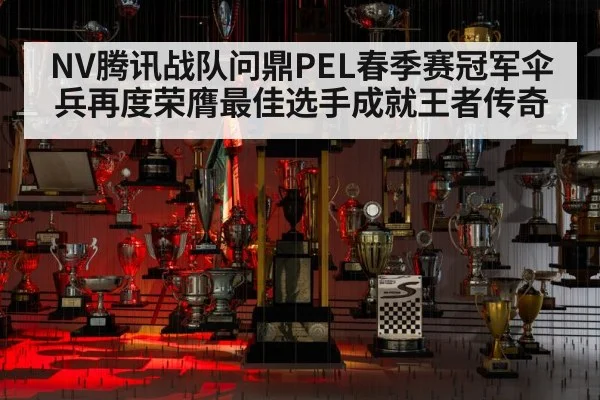 NV腾讯战队问鼎PEL春季赛冠军伞兵再度荣膺最佳选手成就王者传奇